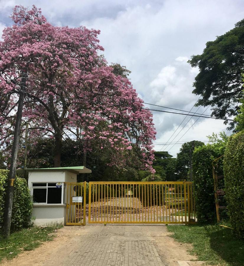 El Jardin De Los Colibries - Pereira, Risaralda מראה חיצוני תמונה