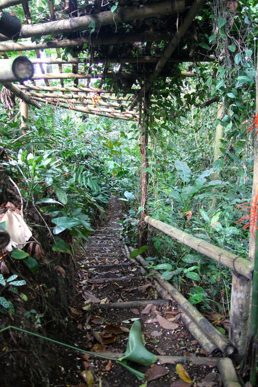 El Jardin De Los Colibries - Pereira, Risaralda מראה חיצוני תמונה
