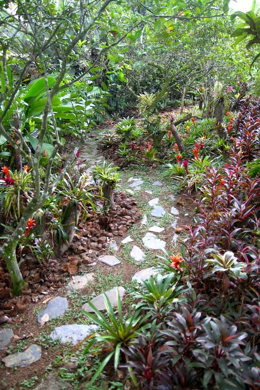 El Jardin De Los Colibries - Pereira, Risaralda מראה חיצוני תמונה
