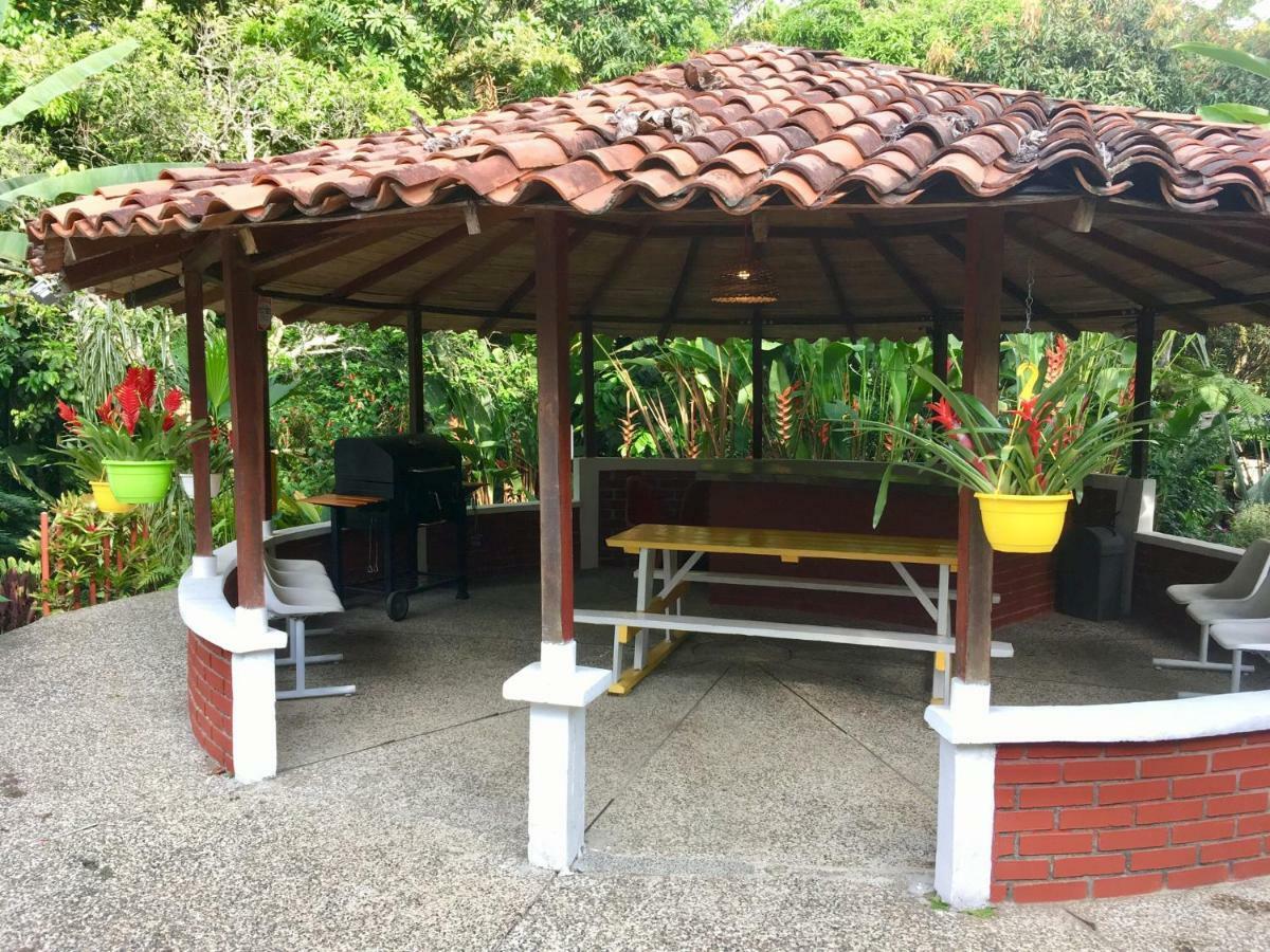 El Jardin De Los Colibries - Pereira, Risaralda מראה חיצוני תמונה